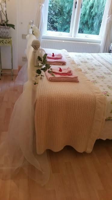 B&B Romantic Rooms Central Χάαρλεμ Εξωτερικό φωτογραφία